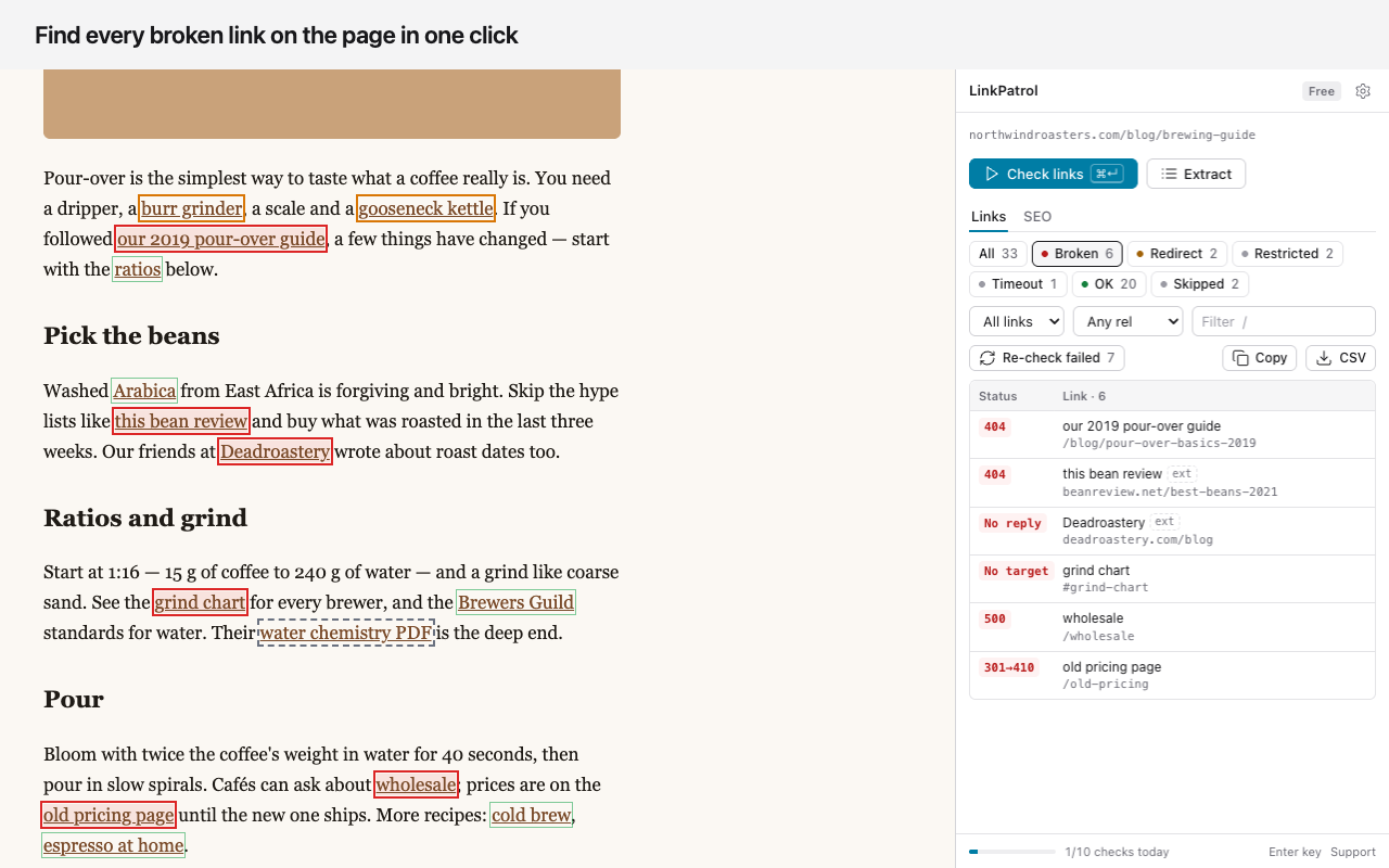 LinkPatrol side panel listing 404, 500 and no-reply links, with broken links outlined in red on the page